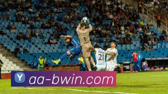 App Interface Preview