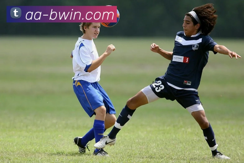 必赢体育官网APP 封面图